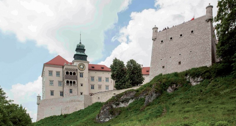 Fot. 5. Widok zamku w Pieskowej Skale od strony doliny Prądnika. Stan po konserwacji. Fot. P. Gąsior.
